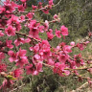 Meet your Posher, Lily